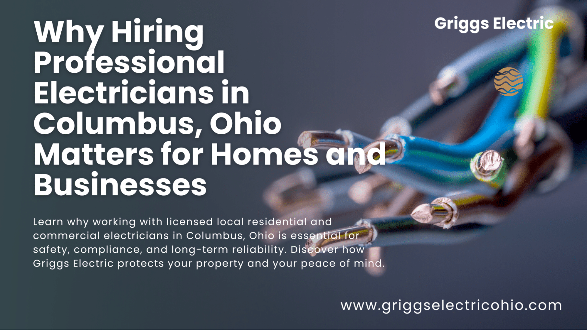 Why Hiring Professional Electricians Blog Header